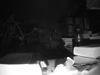 voyeurcam bridgetleewalters 02